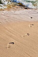 Fußspuren im Sand am Meer